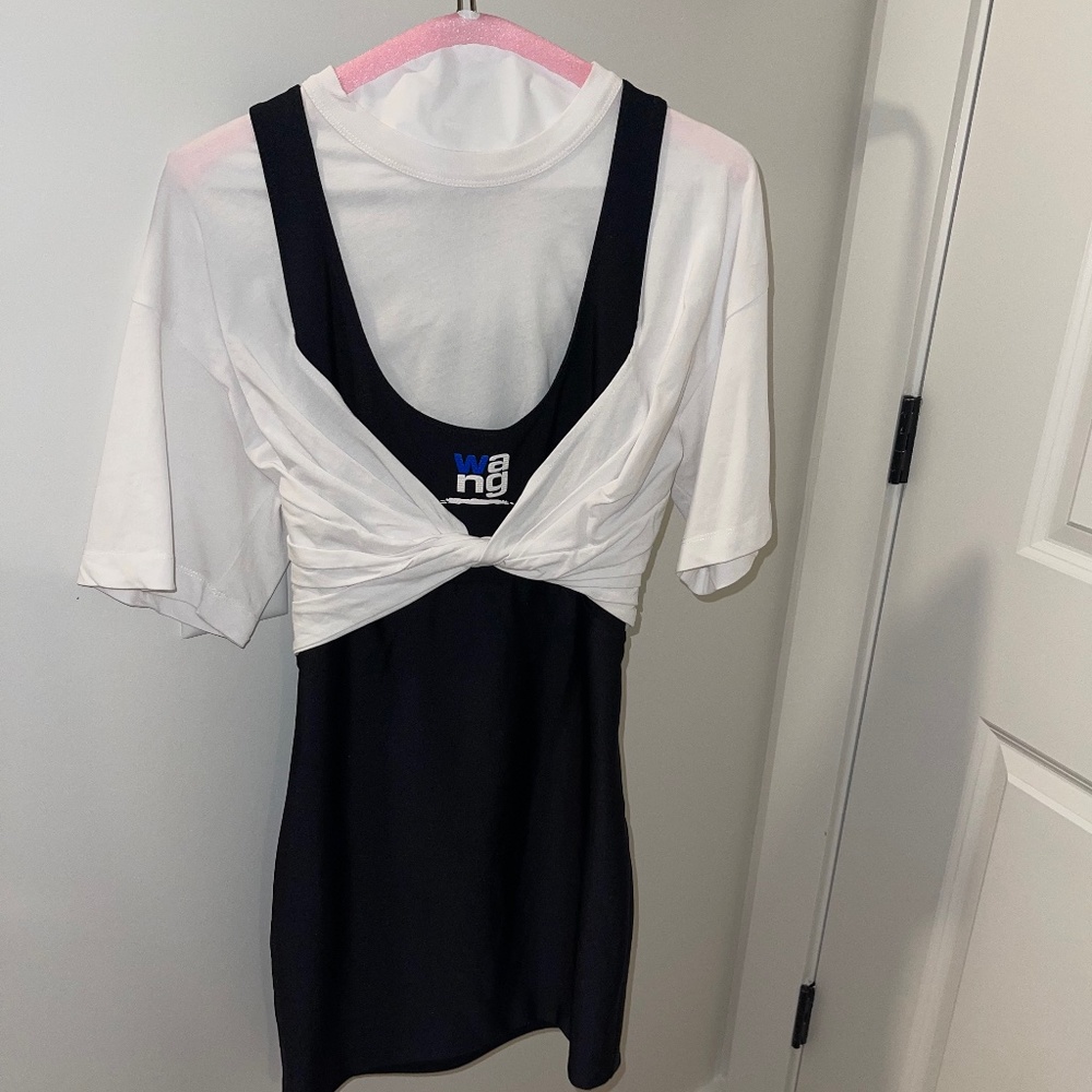 Alexander Wang.t dress